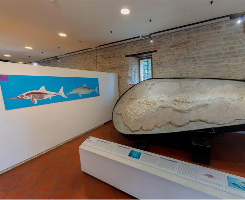 Il museo