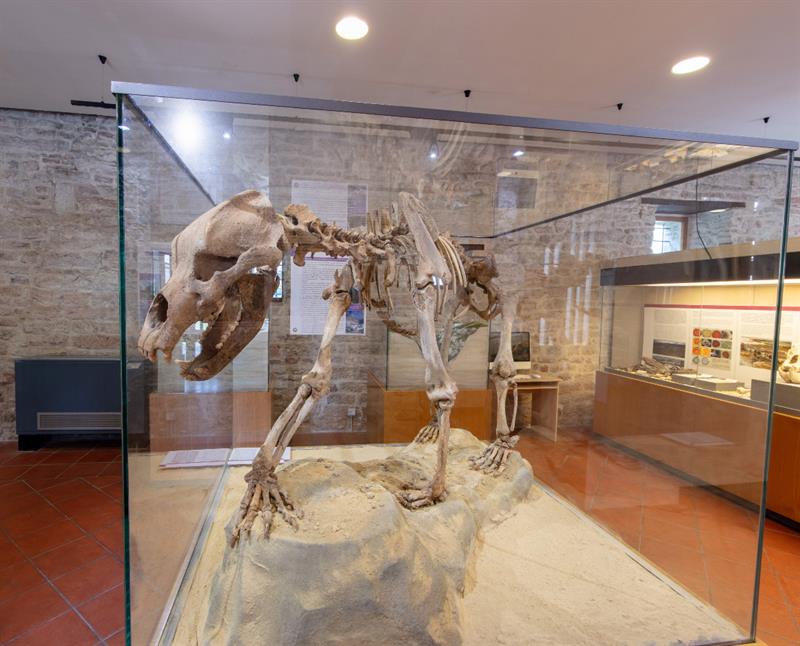 Il museo